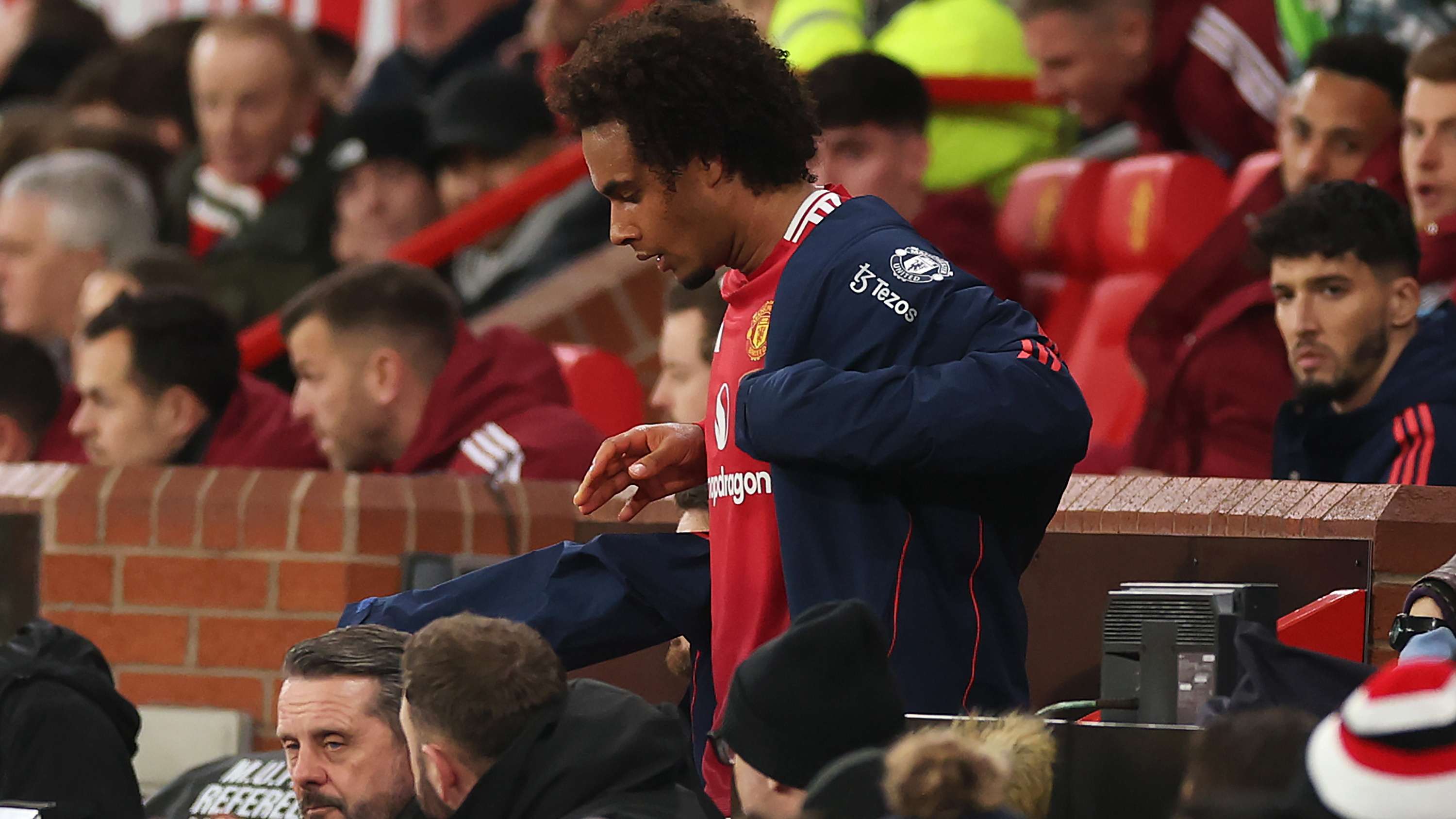 新的惊喜 新的惊喜